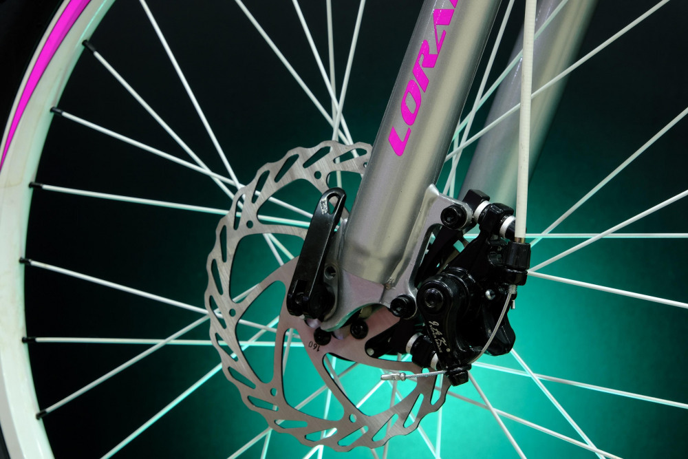 Lorak Shark 24 White Серебро/Мятный